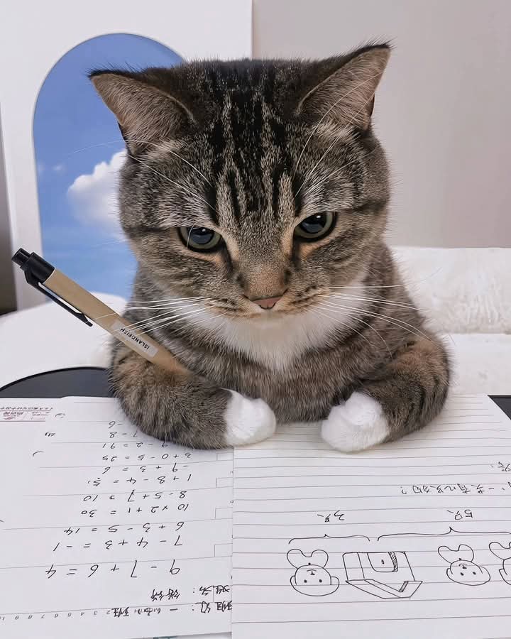 https://content.applauster.com/photo/MXhLLy9yRUcybG1vcklBaWZVc2lzQT09/aps_media_b01dffcef27c8275176623ddc.jpg